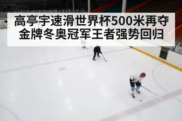 高亭宇速滑世界杯500米再夺金牌冬奥冠军王者强势回归